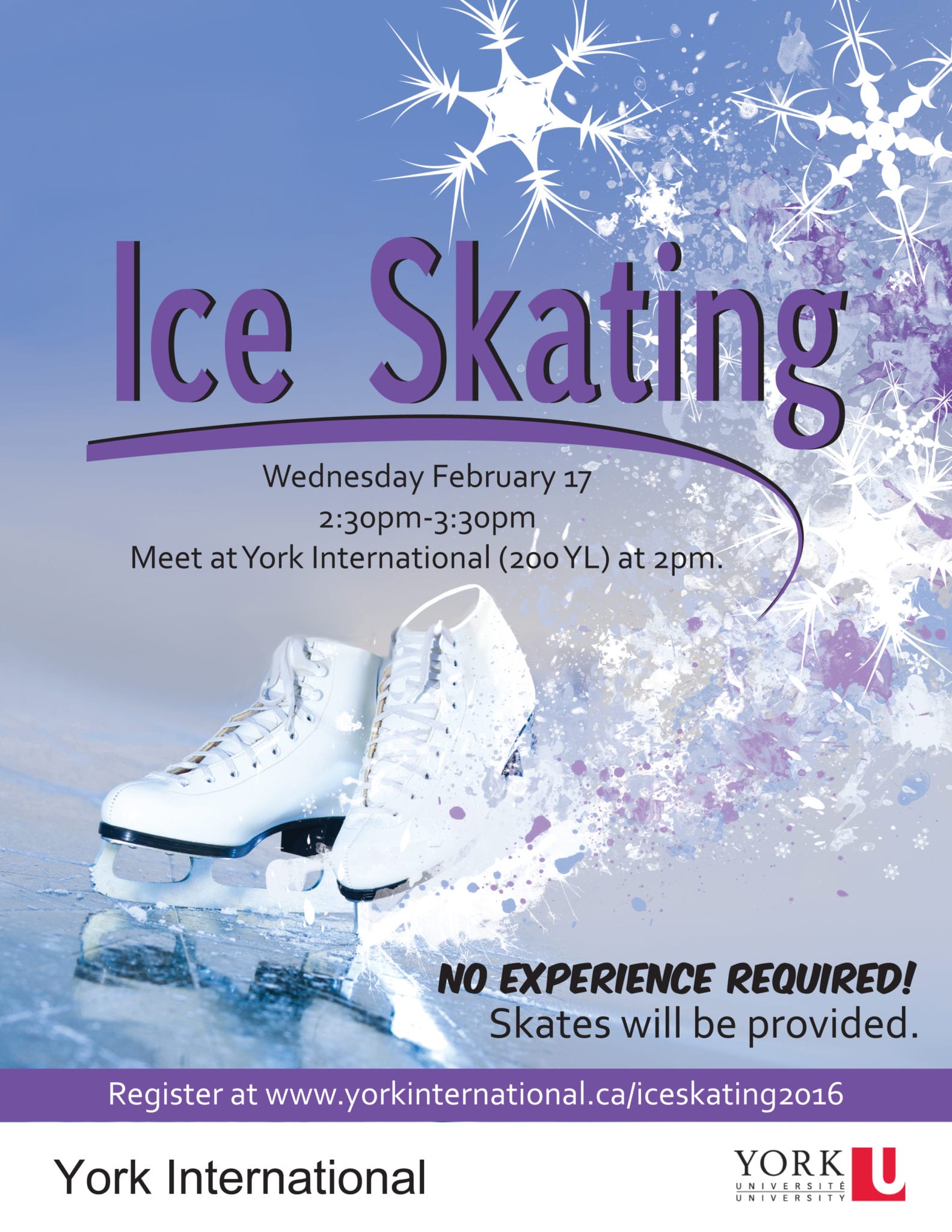 Ice skating (1)