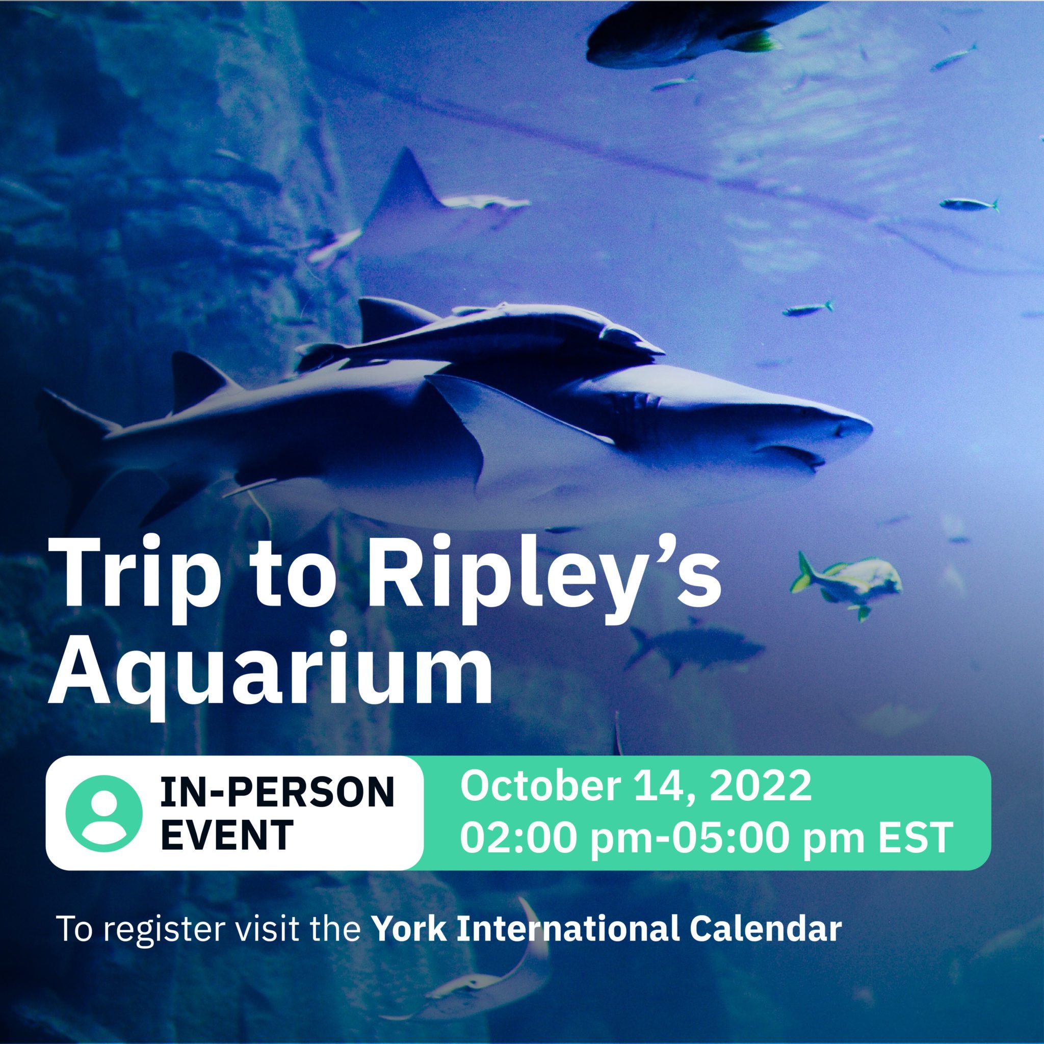 Trip to Ripley's Aquarium!